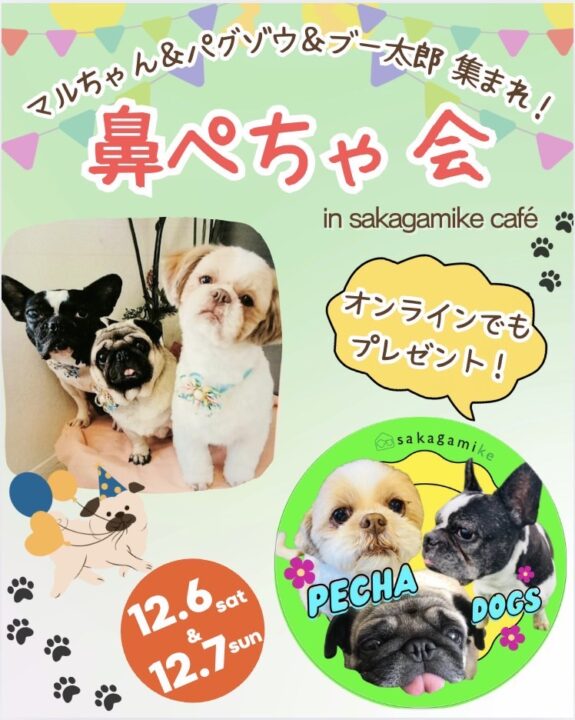 鼻ぺちゃ会！｜新着情報｜さかがみ家